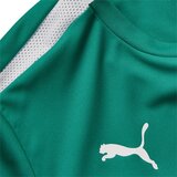 Puma Tehnička sportska majica 'TeamLIGA' smaragdno zelena / bijela | shoptok.hr