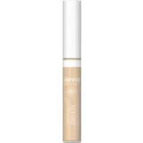 Radiant Skin Concealer - Ivory 01