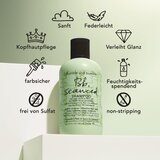Bumble and Bumble Seaweed Shampoo šampon za kovrčavu kosu s ekstraktima morskih trava 250 ml | shoptok.hr