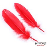 LATETOBED BDSM trodelni crveni set | Eponuda.com