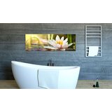  Slika - Lotus' Glow 150x50 | shoptok.hr