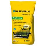 Barenburg barenbrug Rb Tough & Easy smeša semena trave 5/1 cene