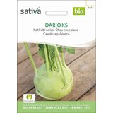  Koleraba bela "Dario Ks" | Shoptok.si