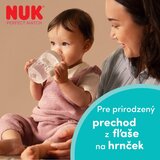 Nuk Perfect Match Disney otroški lonček z ročaji Eeyore 6m+ 150 ml | Shoptok.si