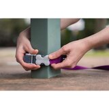Povodac za pse Red Dingo Plava | shoptok.hr
