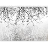 Artgeist Foto tapeta - Natural Brightness 100x70 Slike