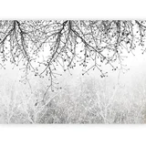 Foto tapeta - Natural Brightness 100x70