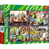 Trefl Zabavne živali 4x250kosov puzzle - | Shoptok.si