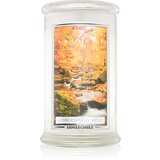 Kringle Candle Amberwood Moss mirisna svijeća 624 g Cijene