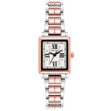 ANNE KLEIN ženski analogni ručni satovi AK/4011SVRT | ePonuda.com