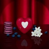 Escada Show Me Love Limited Edition parfumska voda 100 ml za ženske | Shoptok.si
