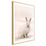  Plakat - Fearful Look 60x90 Zlatni okvir s margom | shoptok.hr