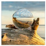 ProArt Steklena slika (Drop on Wood, Š x V: 20 x 20 cm) | Shoptok.si