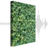  Slika - Thick Ivy (1 Part) Vertical 20x30 | shoptok.hr