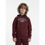 4f Boys' cotton sweatshirt | Shoptok.si