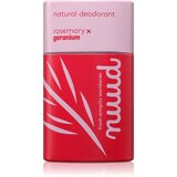  Scented Stick - Rosemary x Geranium | Shoptok.si