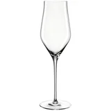 čaša za šampanjac 340ml BRUNELLI 066408