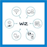 Wiz LED pametna žarulja E14, 5 W – | shoptok.hr