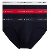 Tommy Hilfiger muški slip u setu | Eponuda.com