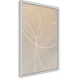  Poster - White Tulip 30x45 | shoptok.hr