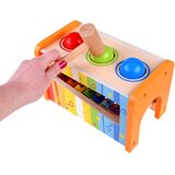  šareni glazbeni set 2u1 | shoptok.hr