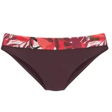 Lascana Bikini donji dio smeđa / patlidžan / crvena / bijela
