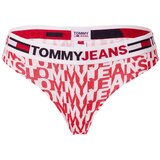 Tommy Hilfiger Underwear Slip noćno plava / crvena / bijela Cijene