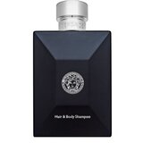 Versace pour homme dylan blue mirisni gel za tuširanje 250 ml za muškarce Cijene