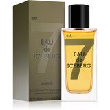 Iceberg Eau de Amber toaletna voda za moške 100 ml | Shoptok.si