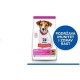 Hills_Science_Plan hills science plan hrana za pse small & mini puppy jagnjetin | Eponuda.com