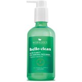 BIOBALANCE Hello Clean Acid Clarity Oil Control Face Wash 250 ml | Eponuda.com
