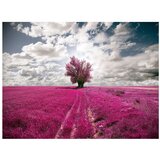  Tapeta - Magenta meadow 400x309 | shoptok.hr