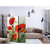 Artgeist Paravan Country Poppies, Dvostranski, 3-Delni | Shoptok.si