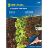 KIEPENKERL Sjeme salate Baby (Lactuca sativa, Berba: Svibanj) Cijene
