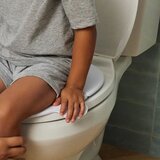 Frida nastavek za wc zložljiv | Shoptok.si