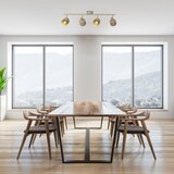 Rabalux fedora, spot,E14 4x40W,braon | Eponuda.com