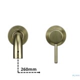  Zidna kupaonska armatura EYN BGW1644 | Boja brušenog zlata 26 cm Cijene