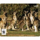 Speedlink TERRA WWF podloga za miško večbarvna (Š x V x G) 230 x 190 x 3 mm, (20460884) Cene