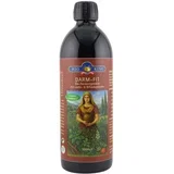 GUT-FIT, bio fermentirani napitek - 500 ml