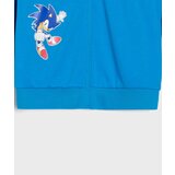 Sinsay Dukserica na patent Sonic the Hedgehog: Modern | shoptok.hr
