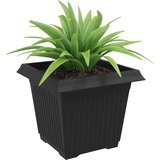  Kvadratna cvetlična posoda 6 pcs Črna 23 x 23 x 17,5 cm, (5000207799) | Shoptok.si