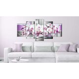  Slika - Orchid and fantasy 100x50 | shoptok.hr