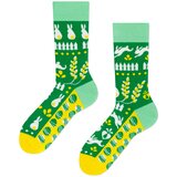 Frogies Nogavice Regular | Shoptok.si