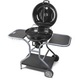 Fieldmann Roštilj FZG 1014 | ePonuda.com