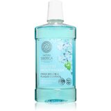 Natura Siberica Natural Mouthwash Fresh Breath & Plaque Control ustna voda za svež dah 520 ml Cene