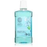 Natural Mouthwash Fresh Breath & Plaque Control vodica za usta za svježi dah 520 ml