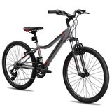 Galaxy Bicikl festina fs 24"/18 siva/crvena mat ( 650050 ) | ePonuda.com