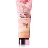 Victoria's Secret Velvet Petals Golden mlijeko za tijelo za žene 236 ml | shoptok.hr