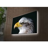Wallity Slika sa LED osvetljenjem 4570DACT-63, 45x70 cm | ePonuda.com