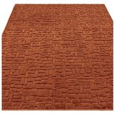 Asiatic Carpets Preproga v barvi terakote 200x290 cm – | Shoptok.si